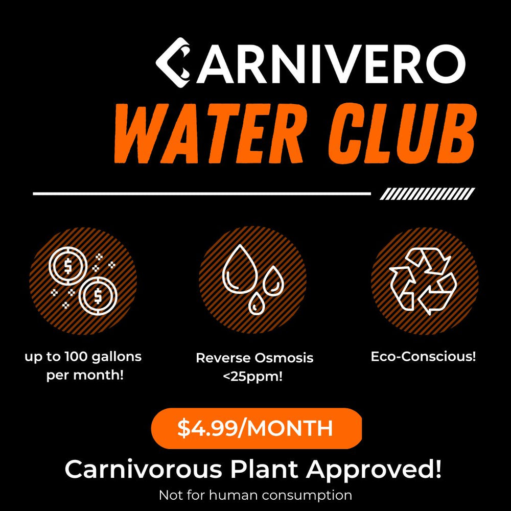 Carnivero Water Club