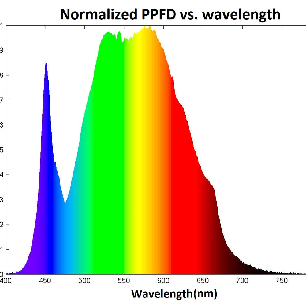 
                      
                        Florawave P80 Grow Light
                      
                    