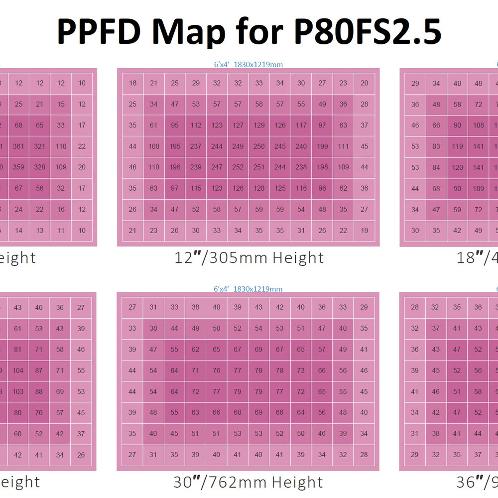 
                      
                        Florawave P80 Grow Light
                      
                    